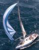 Caption for picture Blue_kite_reaching.JPG in English (36 Kb)