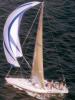 Caption for picture running_blue_kit.JPG in English (31 Kb)